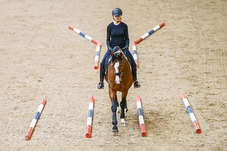 cavelleti sonoma marin horse training