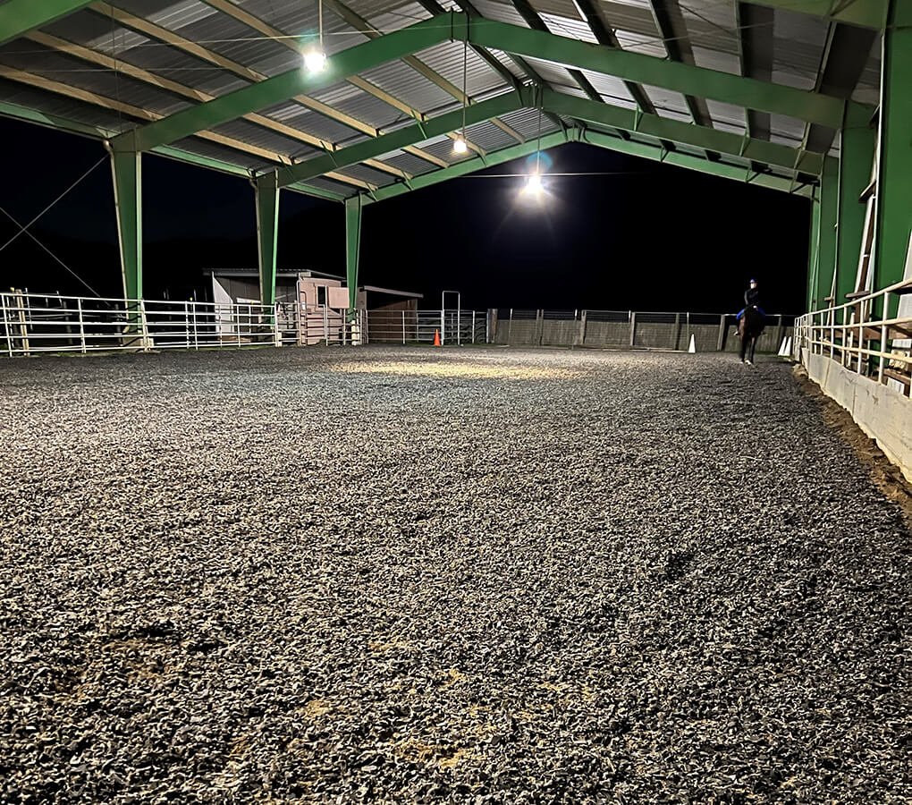 Equestrian Crumb Rubber enhances performance while reducing joint stress for horses.