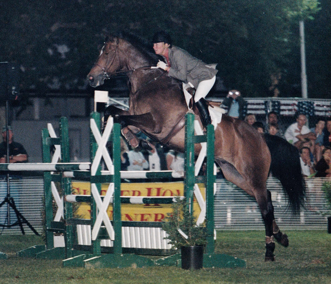 Petaluma horse training